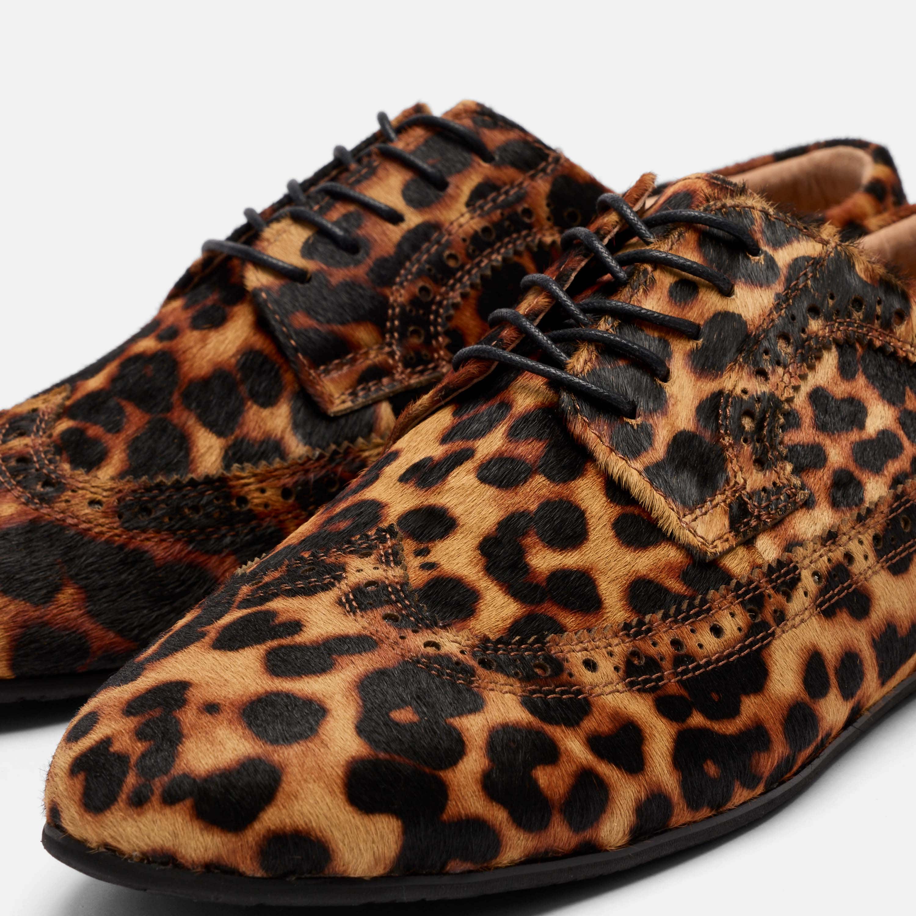 Alexander Leopard Suede Ballerina Longwing Sneakers - Image 3